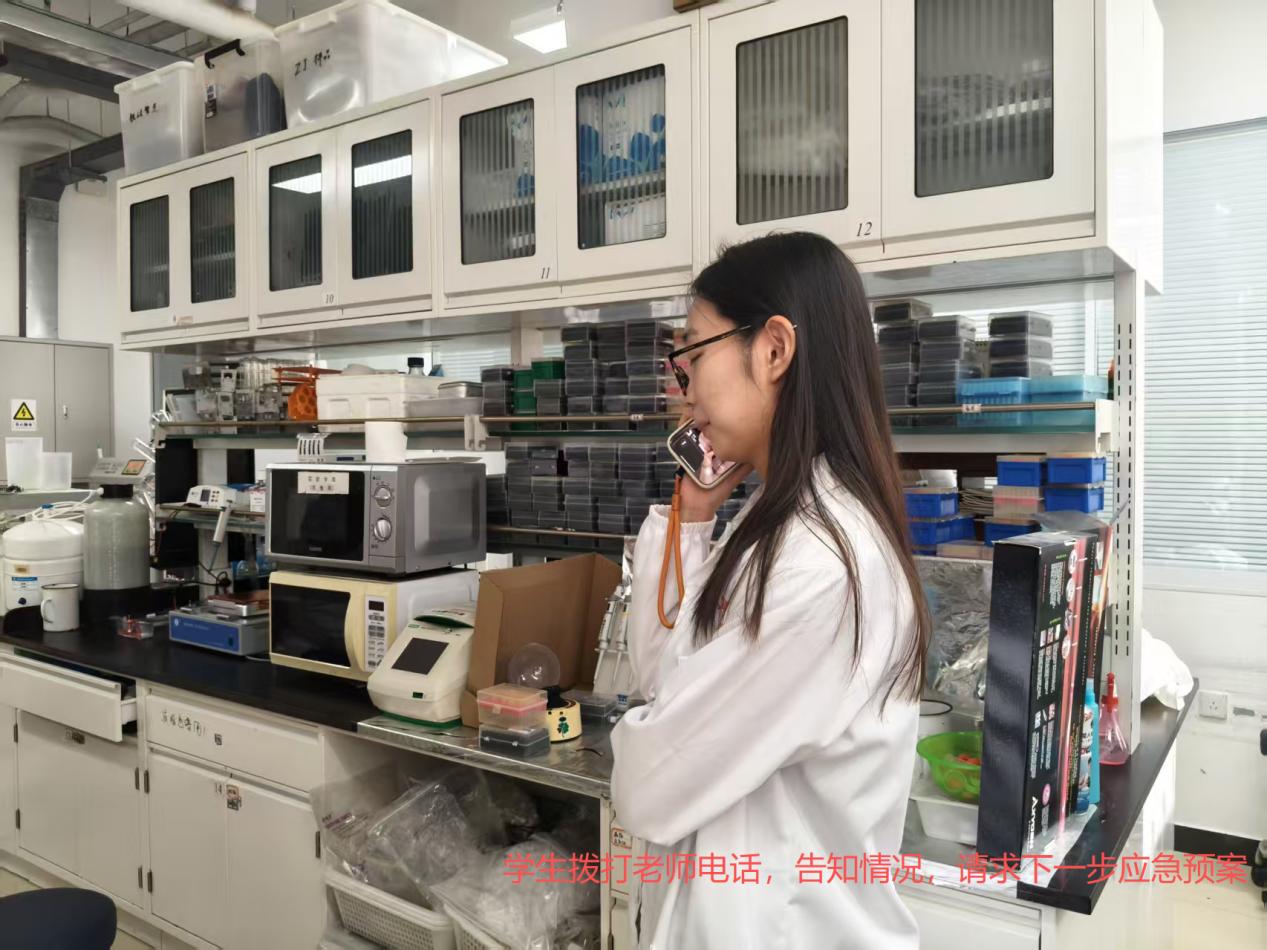 26875